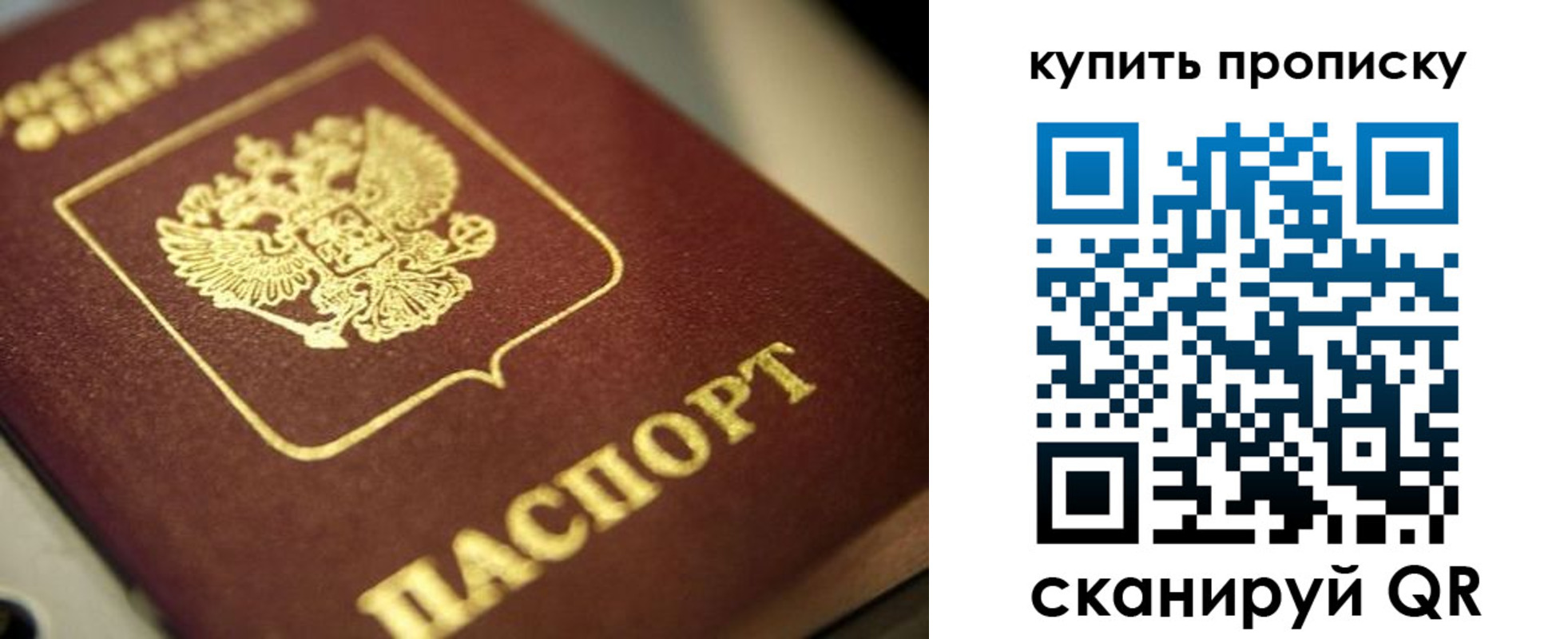 прописка поиск в Ливны